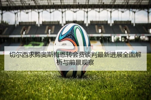 切尔西求购奥斯梅恩转会费谈判最新进展全面解析与前景观察
