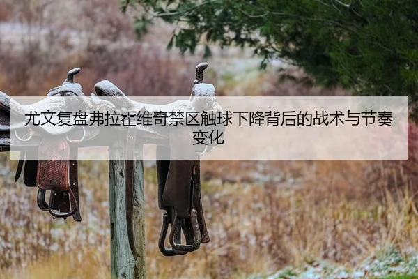 尤文复盘弗拉霍维奇禁区触球下降背后的战术与节奏变化