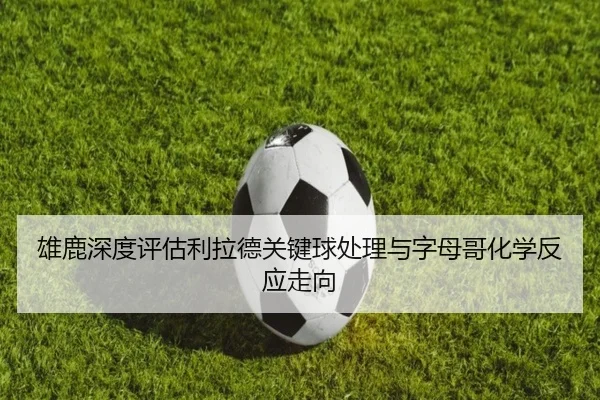雄鹿深度评估利拉德关键球处理与字母哥化学反应走向